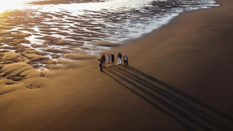 Raglan: Scenic Harbour Sunset Cruise - Who Should Consider This Trip?