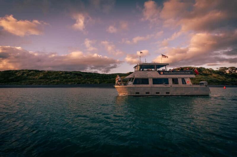 Raglan: Scenic Harbour Sunset Cruise - The Sum Up