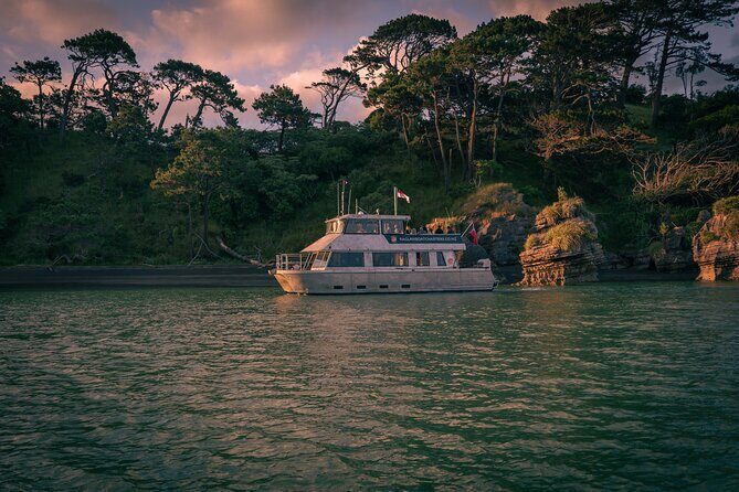 Raglan Scenic Nature Boat Cruise - Practical Tips for Your Cruise