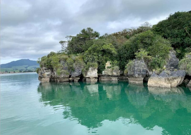 Raglan: Scenic Nature Boat Cruise - An Up-Close Look at Raglan’s Natural Marvels