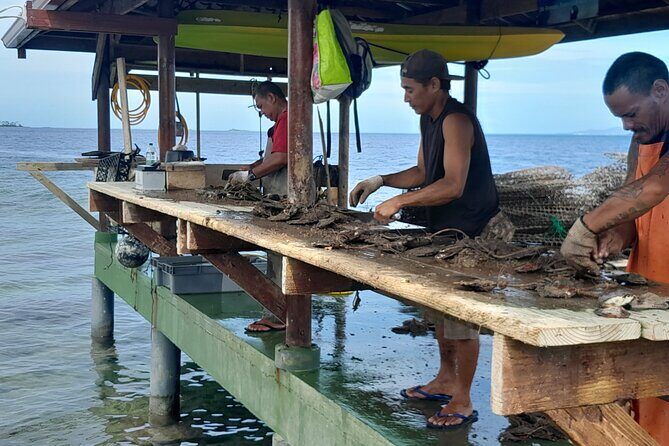 Raiatea-Beautiful Black Pearl of Tahiti and the Vanilla of Tahaa - Practical Details and Tips