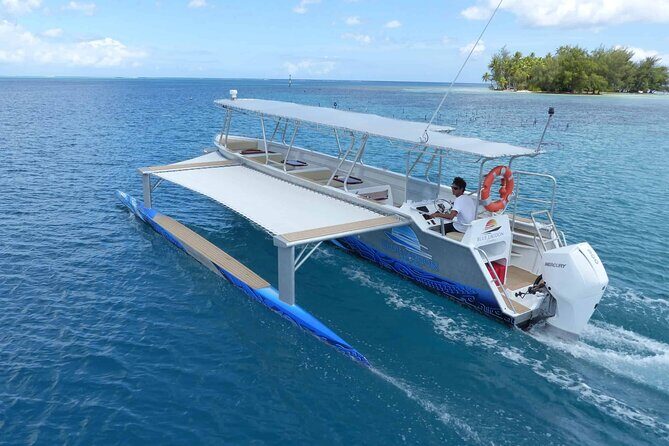 Raiatea-Tahaa Snorkeling in our beautiful Coral Garden - The Sum Up: Who Should Consider This Tour?