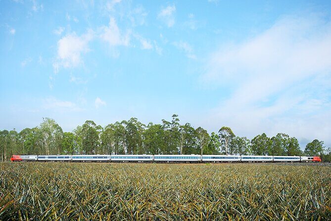 Railbed Brisbane to Cairns Train+Great Barrier Reef Day Tour - The Great Barrier Reef Day Tour