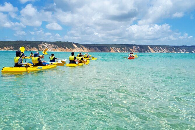 Rainbow Beach: Dolphin & Wildlife Ocean Kayak & Beach 4WD Tour - Who Will Love This Tour?