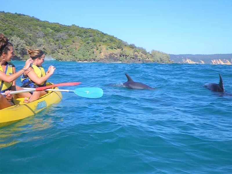 Rainbow Beach: Kayaking with Dolphins and Beach 4WD Tour - Who Will Love This Tour?