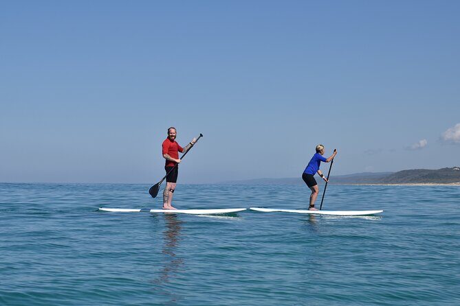 Rainbow Beach: Stand Up Paddle Board 4x4 Tour Double Island Point - Key Points