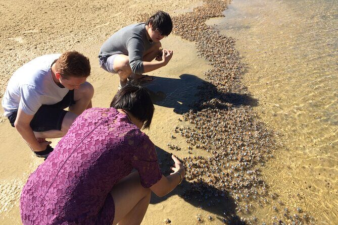 Rainbow Beach: Stand Up Paddle Board 4x4 Tour Double Island Point - Final Words