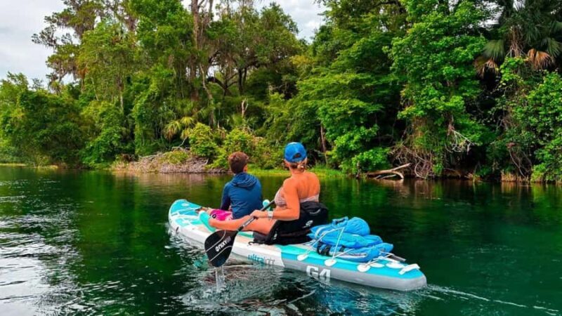 Rainbow River: Paddle Board Tour Adventure - Key Points