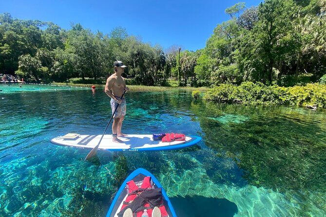 Rainbow Springs Electric Paddle Board Rentals - Key Points
