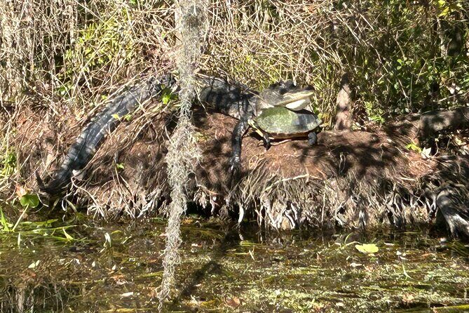 Rainbow Springs Guided Kayak/ Swim/ Snorkel Adventure - A Detailed Look at the Rainbow Springs Adventure