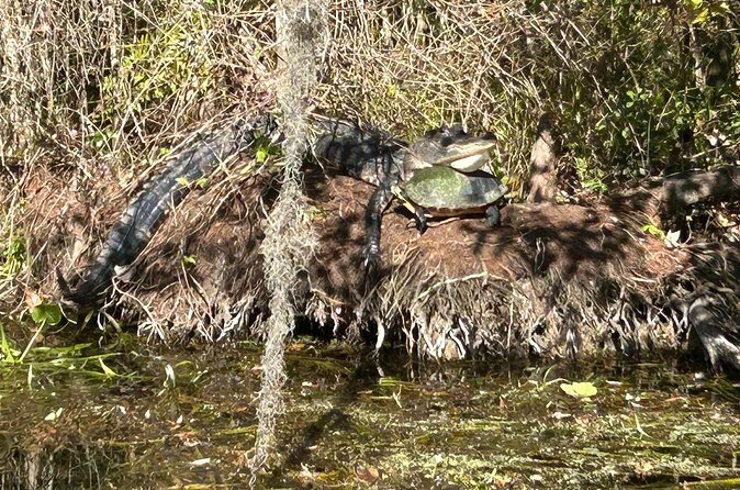 Rainbow Springs Guided Kayak/ Swim/ Snorkel Adventure - Who Is This Tour For?