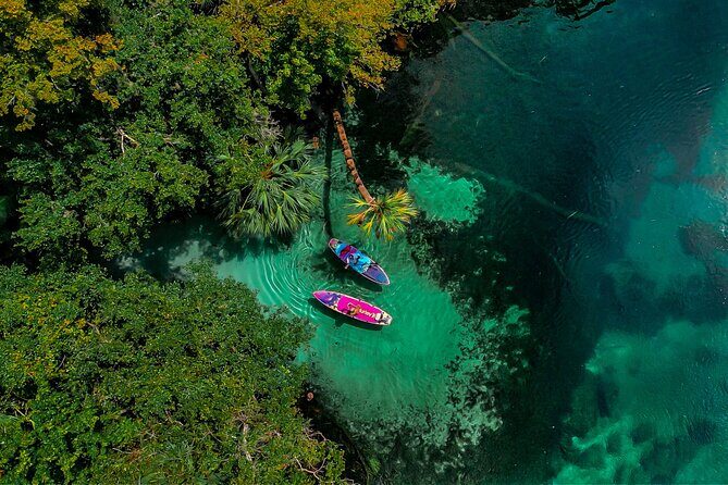 Rainbow Springs Paddle Adventure - The Sum Up
