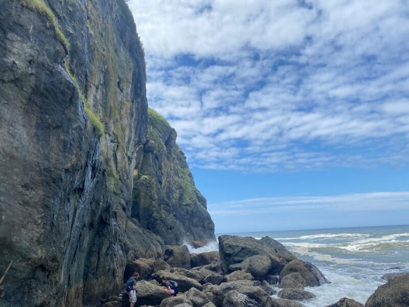 Rainforest and Olympic National Park Highlights - FAQs