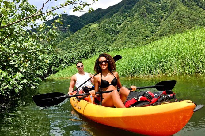 Rainforest River Kayak Self-Guided Kayak Tour - Exploring the Tour in Detail