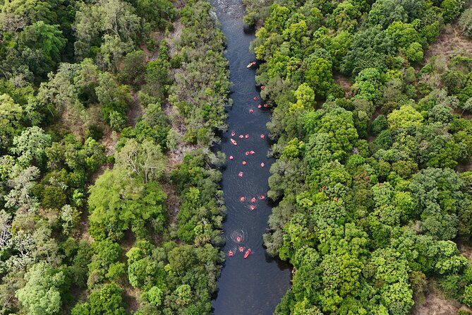 Rainforest River Tubing from Cairns - Introduction
