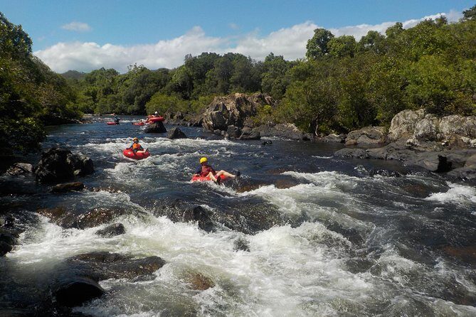 Rainforest River Tubing from Cairns - Practical Details & Tips