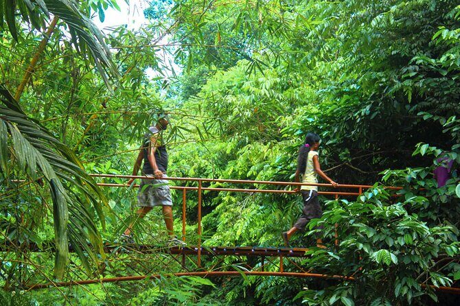 Rainforest Trekking in Kitulgala - What This Tour Means for You