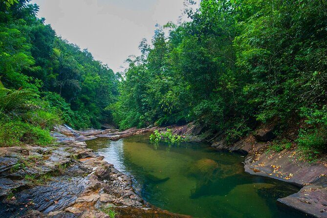 Rainforest Trekking in Kitulgala - Final Thoughts