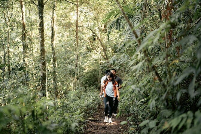 Rainforest Trekking, Tamblingan Lake Canoeing and Best Waterfall - Key Points