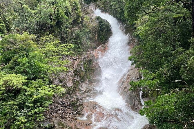 Rainforest Volcano Tour - An In-Depth Look at the Rainforest Volcano Tour