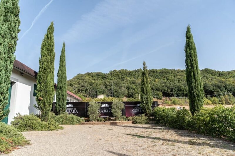 Raise a Glass: Exclusive Wine Experiences Near Orvieto - The Sum Up