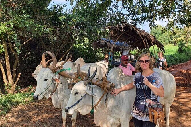 Rajanganaya Village Cycling Tour from Anuradhapura - What’s Included and What’s Not