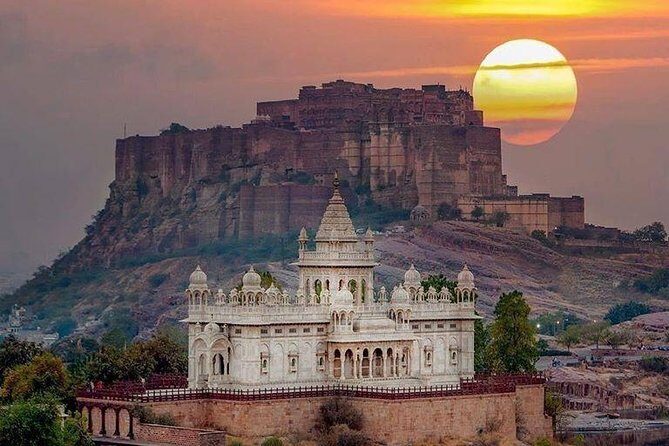 Rajasthan Forts & Palaces Tour - Who Is This Tour Best For?
