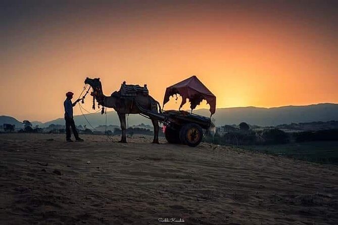 Rajasthan Heritage Tour - Final Thoughts