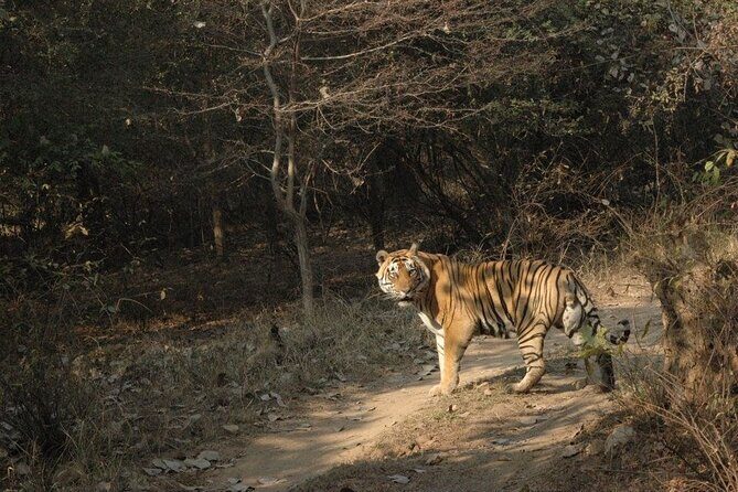 Rajasthan The Land of Maharaja - Overland Tour - Key Points