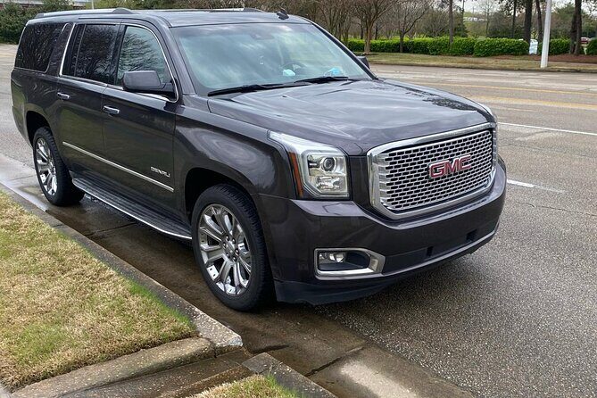 Raleigh-Durham Airport (RDU) to Raleigh Arrival Private Transfer - Key Points