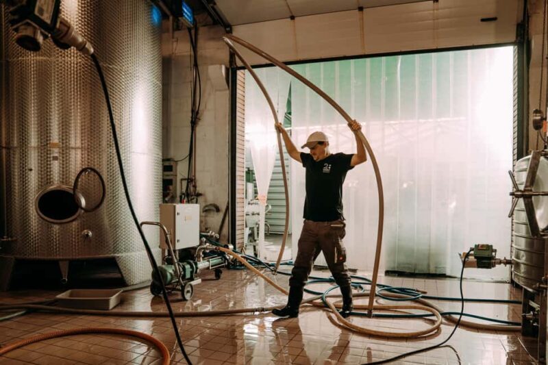 Ramsthal: Winery Tour with Wine Tasting and Tapas - Introduction