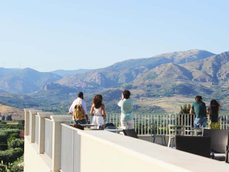 Randazzo: Extra virgin olive oil tasting and olive grove tour - The Authentic Tasting Experience