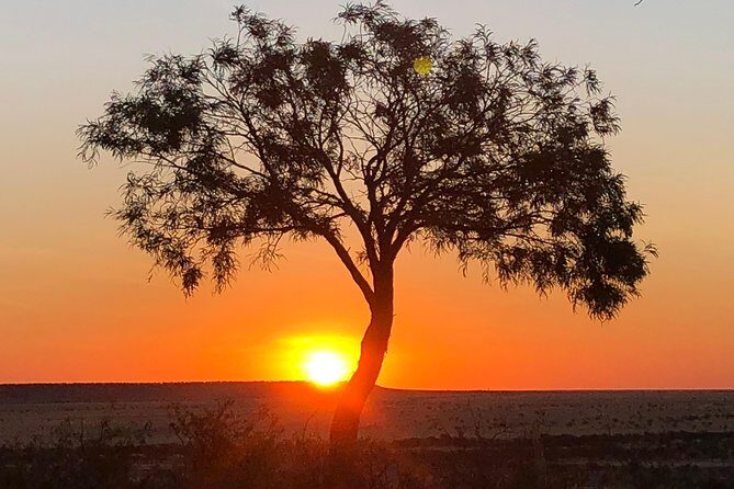 Rangelands Rifts and Sunset Tour Winton - Final Thoughts