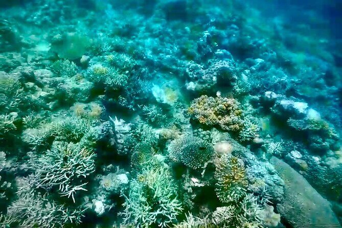 Rangko Cave & Beach Snorkeling Half Day Sharing Trip Labuan Bajo - Final Word
