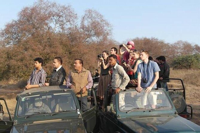 Ranthambore Safari | Bird Watching | Agra & Delhi from Jaipur - Day 1: Into the Wild at Ranthambore