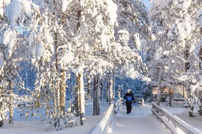 Ranua WildLife Zoo Park - Who Would Love This Tour?