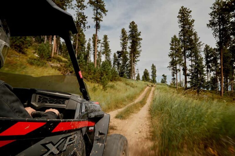 Rapid City: Cement Ridge Lookout UTV Adventure - Practical Details and Tips