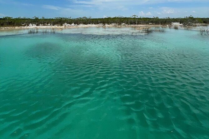 Rapids EN Bacalar Tour from Cancun and Riviera Maya - Who Will Enjoy This Tour?