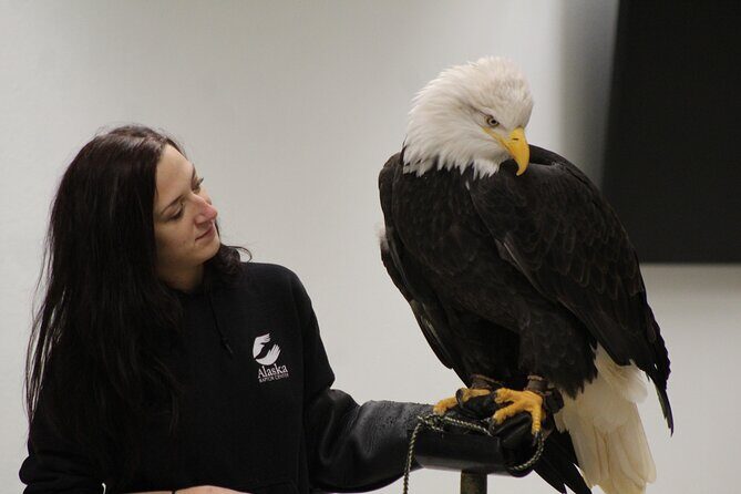 Raptor Encounters and Immersive Dome Experience - Key Points