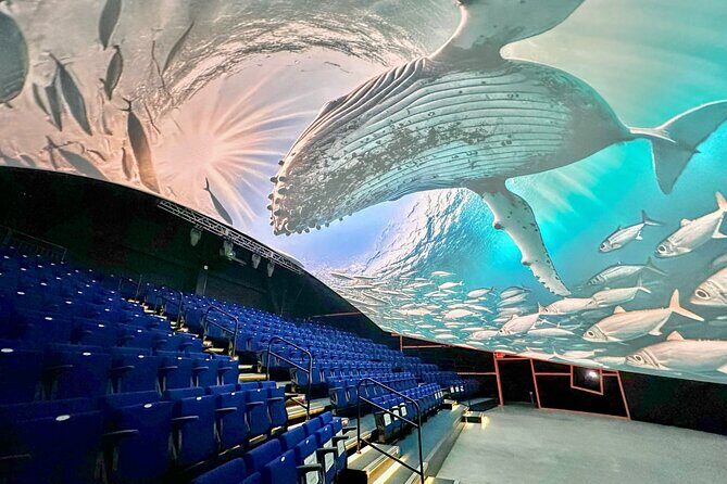 Raptor Encounters and Immersive Dome Experience - An In-Depth Look at the Experience