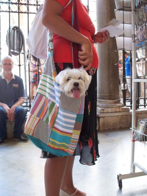 RARE PLANTS IN AOSTA VALLEY - Key Points