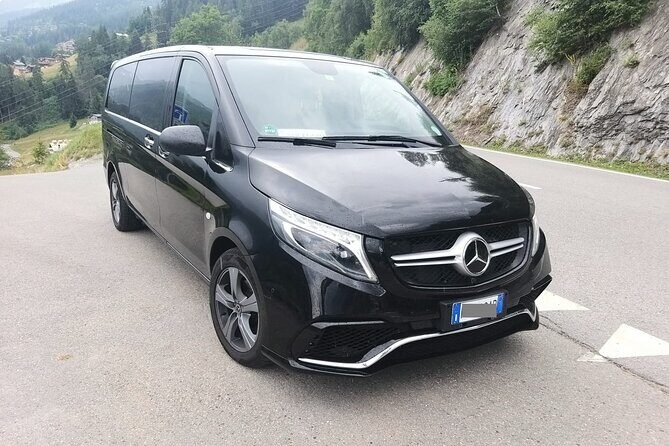 Ravenna city or Cruise Port to Bologna Airport(BLQ) - Departure Private Transfer - The Vehicle & Service Quality
