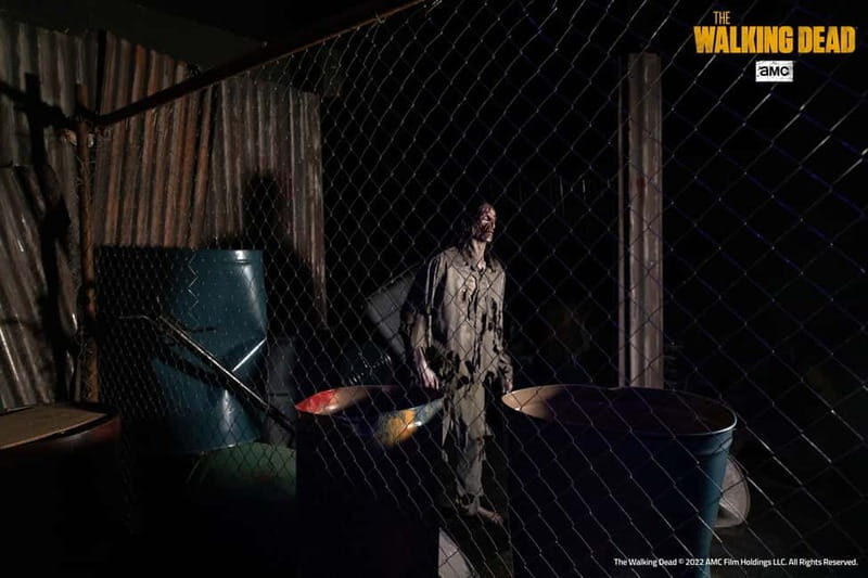 Ravenna: Mirabilandia Park and Ferrari Museum Entry Ticket - Detailed Breakdown of the Experience