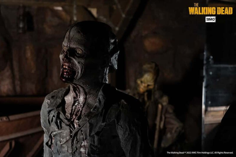 Ravenna: Mirabilandia Park and Ferrari Museum Entry Ticket - Who This Tour is Perfect For