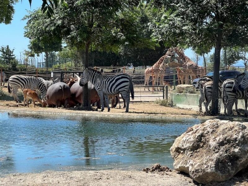 Ravenna: Safari Ravenna entrance ticket - Interactive and Educational Elements