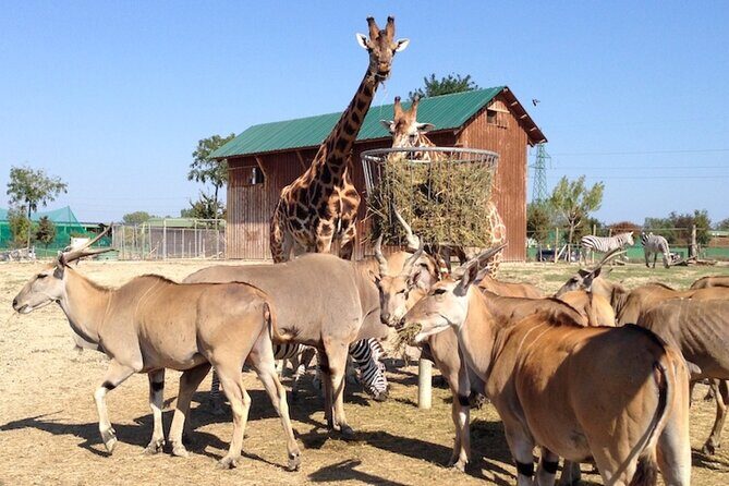 Ravenna: Safari Ravenna entrance ticket - Who Will Love This Tour?