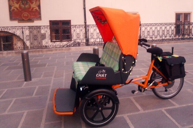 RAXI (E-Rickschaw) big private Vienna tour - The Sum Up: Who Will Love This Tour?