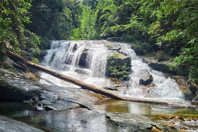 Rayong Adventure Full day Trip from Pattaya - A Deep Dive into the Rayong Adventure Experience