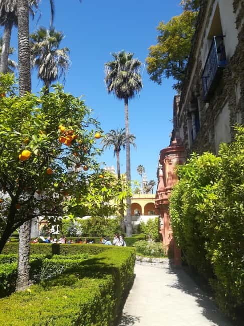 Real Alcázar of Seville Tiny Group Tour - The Sum Up