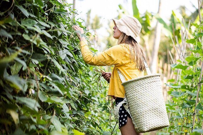 Real Bali Farm Cooking and Traditional Market Adventure in Ubud - Key Points